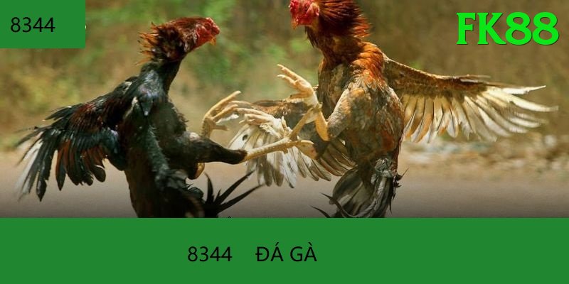 Đá Gà Trực Tiếp - fk88 - Game MOBA